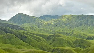 Nagaland ILP
