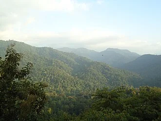 Sabarimala Virtual Q